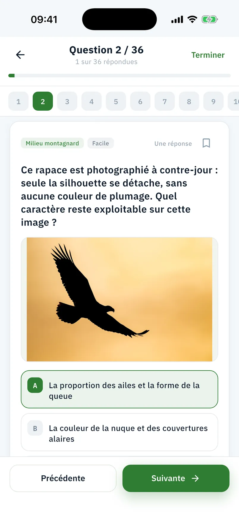 Une question de l'examen blanc dans l'application AMM Probatoire : un rapace en silhouette, quatre propositions, le compteur « Question 2 / 36 »